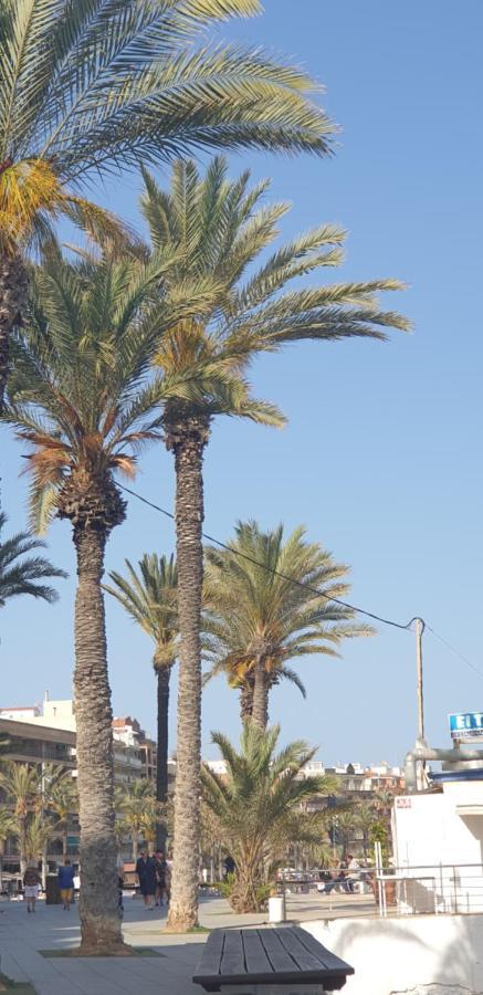 Costa Blanka Resident Apartman Torrevieja Kültér fotó